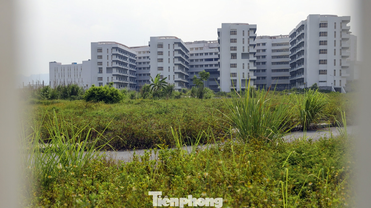 Phần lớn diện tích đất của bệnh viện đang bị xâm lấn bởi cỏ dại, quá trình hoang hóa diễn ra nhanh chóng. Cả hai dự án bệnh viện này bị thanh tra theo chỉ đạo của Ban Chỉ đạo Trung ương về phòng, chống tham nhũng, lãng phí, tiêu cực. Đây là cuộc thanh tra đột xuất, được thực hiện theo chỉ đạo của Ban Chỉ đạo Trung ương về phòng, chống tham nhũng, lãng phí, tiêu cực, mà trực tiếp là Tổng Bí thư Tô Lâm. Tổng Bí thư đã yêu cầu TTCP phải ban hành kết luận trước ngày 31/3 để kịp thời xử lý sai phạm. Thời gian thanh tra bắt đầu từ ngày 8/1 và diễn ra trong 40 ngày.