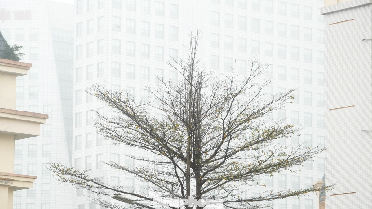 Thời tiết kiểu “quá mù ra mưa” không chỉ làm đảo lộn nhịp sống mà còn ảnh hưởng trực tiếp đến sức khỏe của người dân.