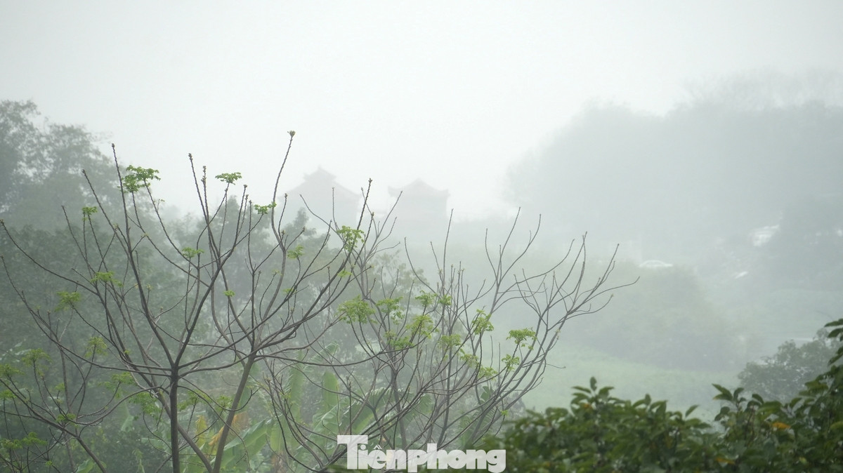 Nguyên nhân của hiện tượng này đến từ sự kết hợp giữa độ ẩm cao, không khí tĩnh lặng và dao động nhiệt độ trong khoảng 18 đến 22 độ C. Sương hình thành khi hơi nước trong không khí hội tụ thành những hạt li ti, treo lơ trong không khí do không có gió mạnh để phân tán tạo ra hiện tượng mưa phùn.