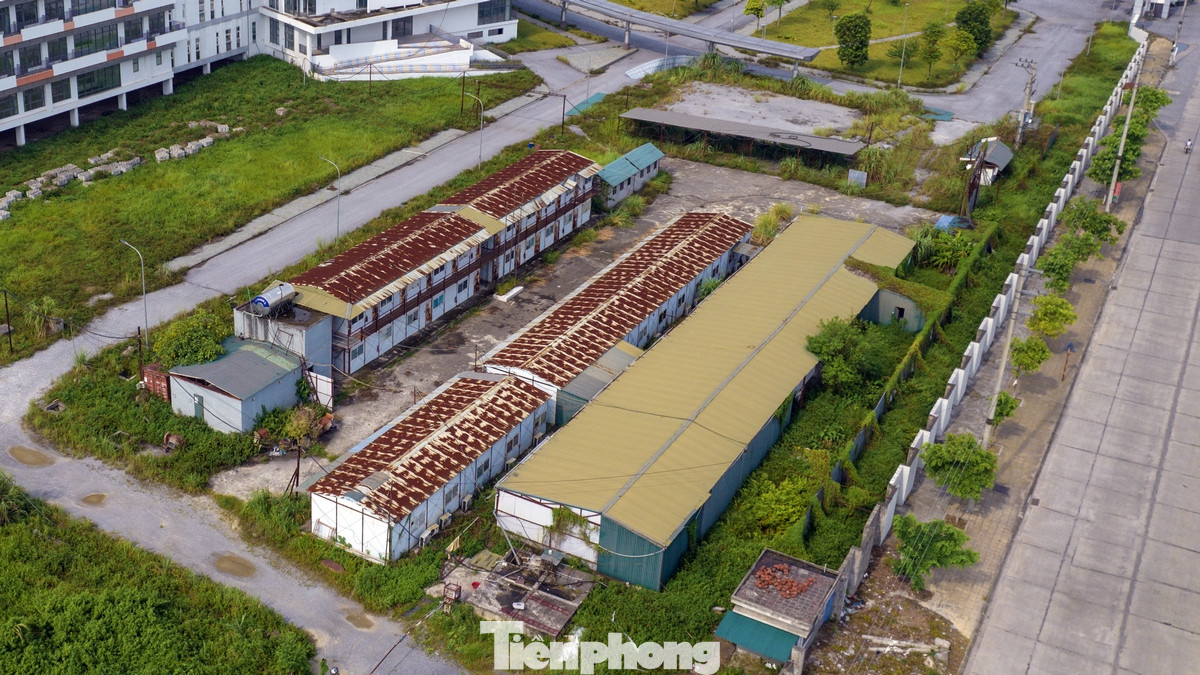 Tại cuộc công bố kết luận thanh tra mới đây, ông Nguyễn Văn Cường - Phó Tổng TTCP - cho biết, hình ảnh 2 bệnh viện to lớn, sừng sững được Nhà nước đầu tư hàng chục nghìn tỷ đồng nhưng để bỏ hoang cỏ mọc vì không sử dụng được trong 10 năm qua, là hình ảnh gây xót xa trong cả hệ thống chính trị và toàn xã hội, và đây là điển hình của sự lãng phí trong đầu tư công.