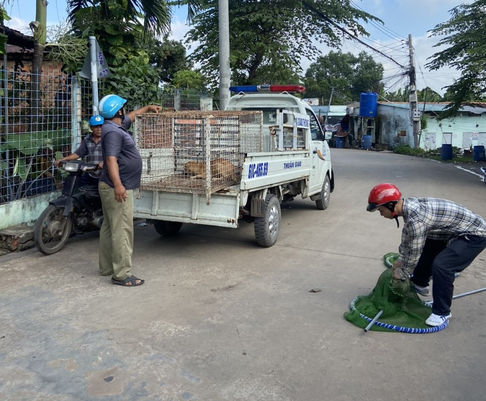 Thời gian qua, tình trạng chó thả rông tấn công người đi đường xảy ra ở một số địa phương gây tâm lý bất an cho người dân. Trước tình trạng này, tỉnh Bình Dương đã thành lập các đội xử lý chó thả rông. Thời gian qua, tình trạng chó thả rông tấn công người đi đường xảy ra ở một số địa phương gây tâm lý bất an cho người dân. Trước tình trạng này, tỉnh Bình Dương đã thành lập các đội xử lý chó thả rông.