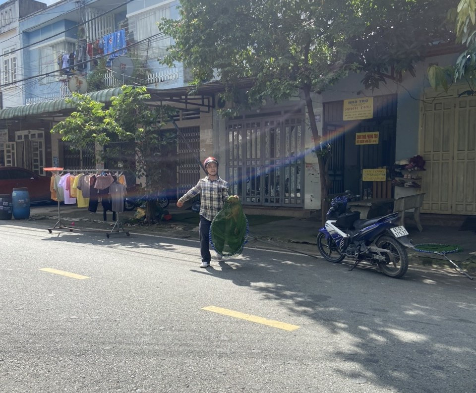 Các phường, xã thường xuyên tuyên truyền đến người dân về việc quản lý, không để chó, mèo không rọ mõm chạy rông ra đường. Mỗi phường, xã thành lập một đội xử lý chó thả rông. Các phường, xã thường xuyên tuyên truyền đến người dân về việc quản lý, không để chó, mèo không rọ mõm chạy rông ra đường. Mỗi phường, xã thành lập một đội xử lý chó thả rông.