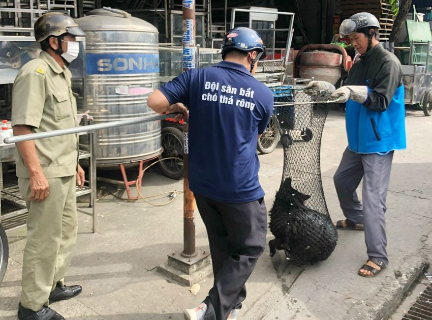 Để tránh hệ lụy, tạo môi trường sống an toàn cho người dân, Bình Dương sẽ mạnh tay xử lý các trường hợp chó thả rông. Để tránh hệ lụy, tạo môi trường sống an toàn cho người dân, Bình Dương sẽ mạnh tay xử lý các trường hợp chó thả rông.