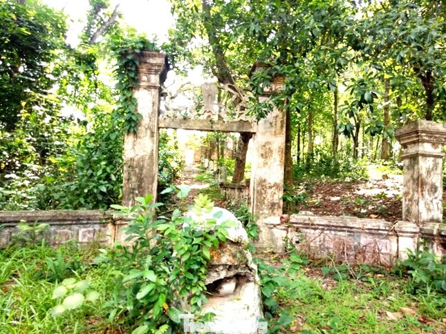 Theo các tài liệu ghi chép lại, ông Trần Văn Lân là người sinh thời theo nghề buôn gỗ, từng có nhiều trại cưa nằm ven sông Sài Gòn cũng như ở vùng rừng núi thượng nguồn dòng sông này ở phía biên giới giáp với Campuchia. Không chỉ là một thương nhân lừng danh, các con ông Trần Văn Lân cũng rất thành đạt. Theo các tài liệu ghi chép lại, ông Trần Văn Lân là người sinh thời theo nghề buôn gỗ, từng có nhiều trại cưa nằm ven sông Sài Gòn cũng như ở vùng rừng núi thượng nguồn dòng sông này ở phía biên giới giáp với Campuchia. Không chỉ là một thương nhân lừng danh, các con ông Trần Văn Lân cũng rất thành đạt.