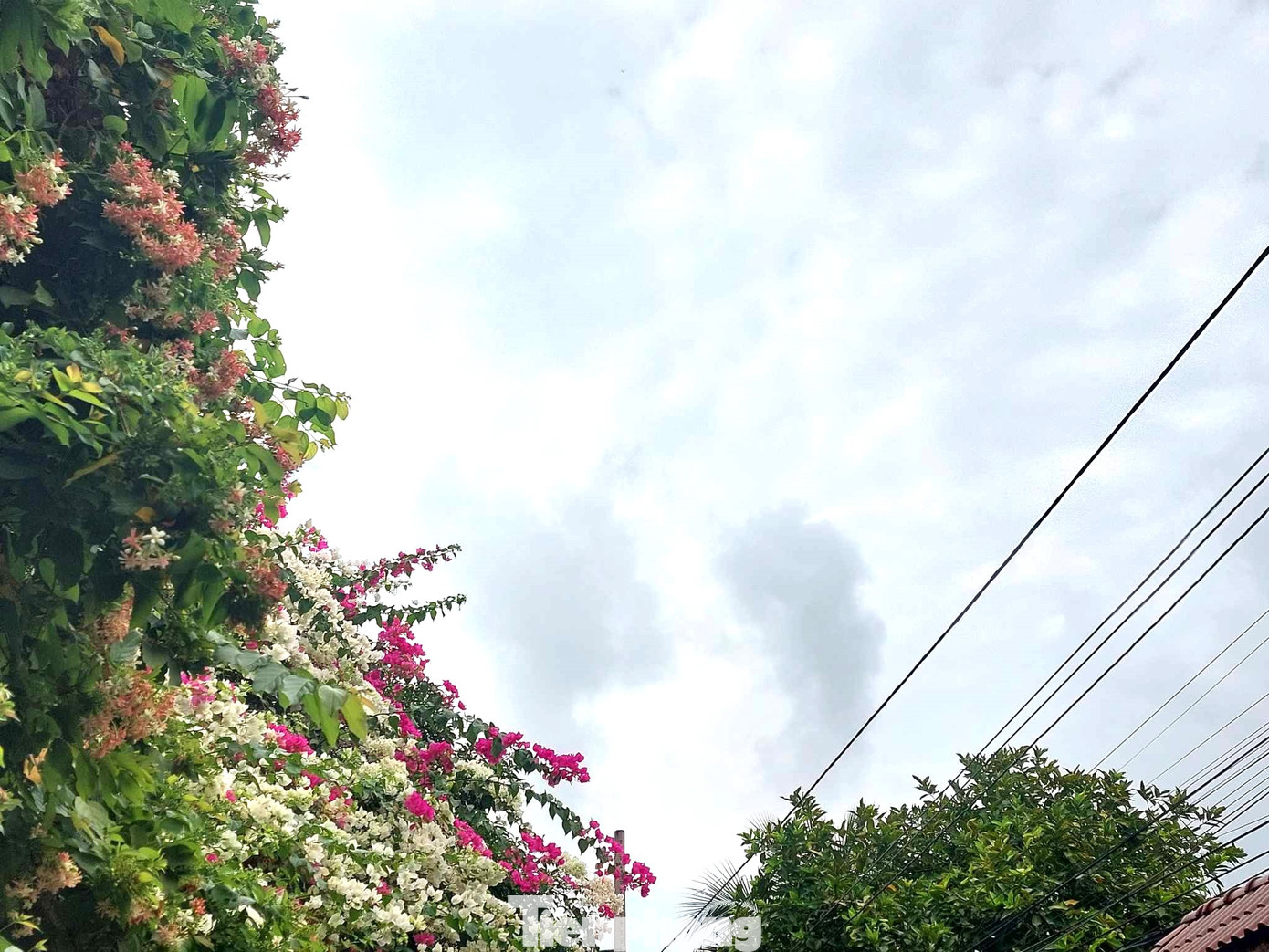 Bầu trời có ánh nắng trở lại