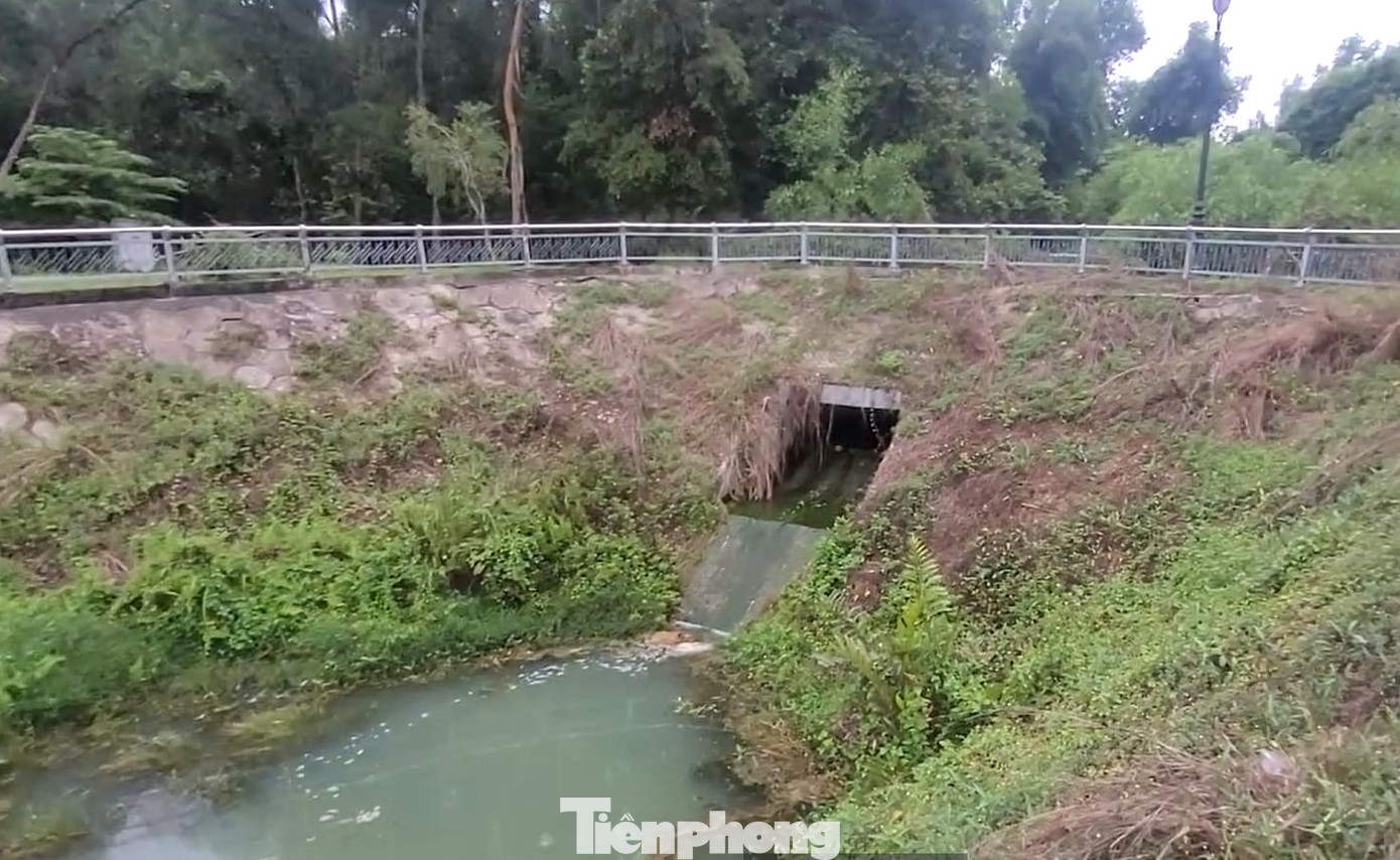 Hồ nước nhỏ nơi xuất hiện con cá