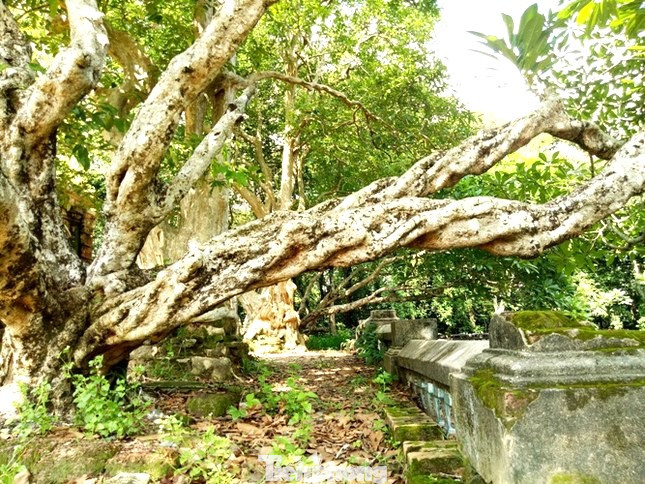 Từ ngoài nhìn vào, khu mộ khiến người ta có cảm giác sợ hãi bởi sự hoang vắng, âm u. Tuy nhiên, bên trong là một tuyệt tác bởi kiến trúc xưa để lại. Một lối kiến trúc độc đáo và những tàn tích còn sót lại từ hàng trăm năm, khu mộ cổ này làm cho ai đến cũng thấy tò mò. Từ ngoài nhìn vào, khu mộ khiến người ta có cảm giác sợ hãi bởi sự hoang vắng, âm u. Tuy nhiên, bên trong là một tuyệt tác bởi kiến trúc xưa để lại. Một lối kiến trúc độc đáo và những tàn tích còn sót lại từ hàng trăm năm, khu mộ cổ này làm cho ai đến cũng thấy tò mò.