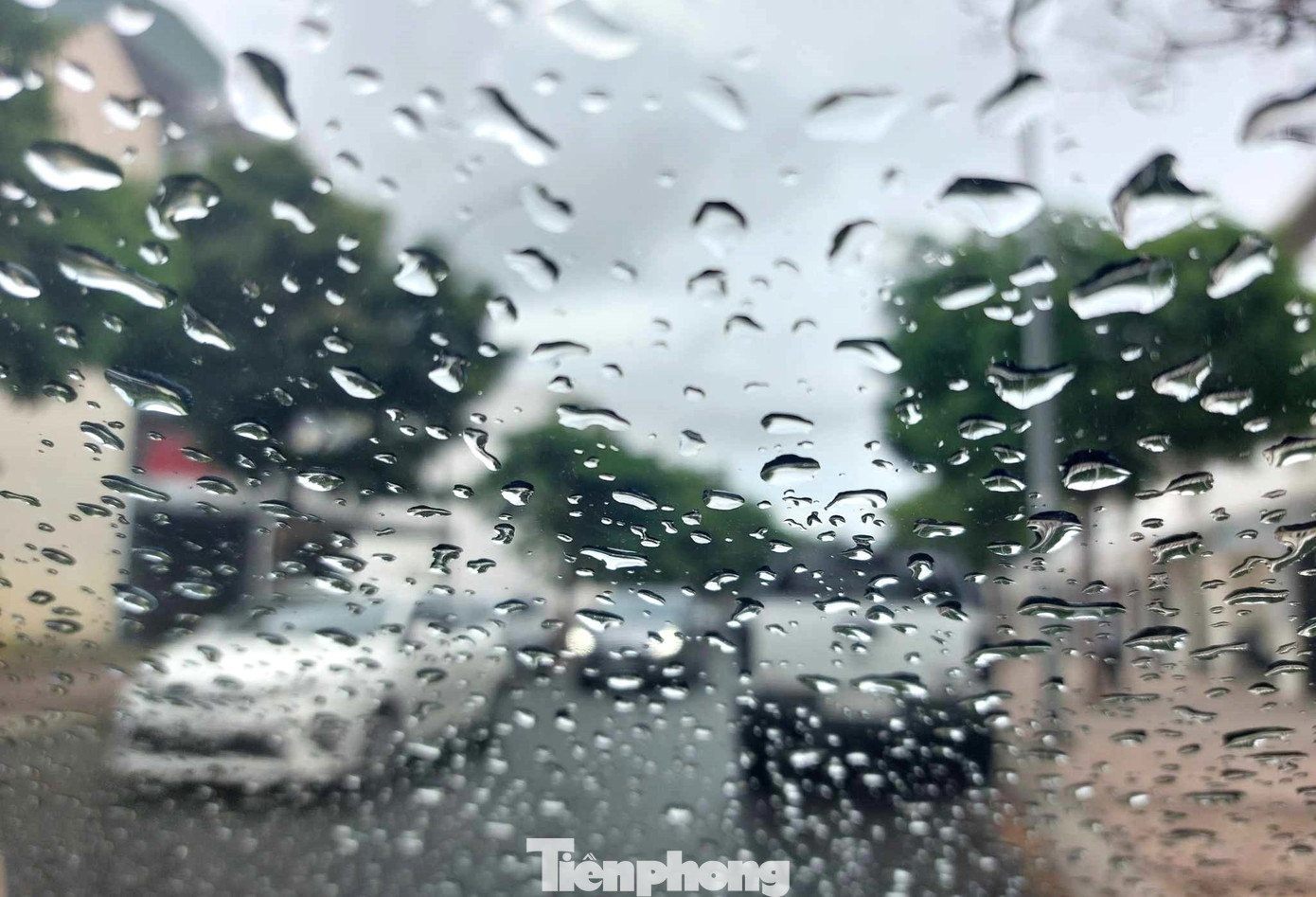 Thời gian dài chịu cảnh nắng nóng, người dân mong chờ một cơn mưa để giải nhiệt