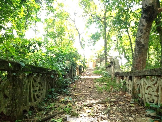 Trên một ngọn đồi thấp tại KP 5 (phường Hiệp Thành, TP.Thủ Dầu Một, Bình Dương), khu mộ cổ được phủ kín bởi những cây cổ thụ. Chỉ người dân địa phương mới biết khu mộ là của ai vì cổng vào khu mộ không có tên. Trên một ngọn đồi thấp tại KP 5 (phường Hiệp Thành, TP.Thủ Dầu Một, Bình Dương), khu mộ cổ được phủ kín bởi những cây cổ thụ. Chỉ người dân địa phương mới biết khu mộ là của ai vì cổng vào khu mộ không có tên.