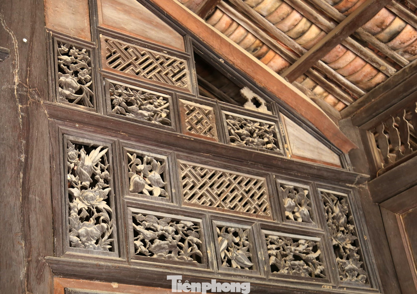 Ngôi cổ Dương Văn Hổ hàng trăm năm song chất lượng gỗ vẫn giữ nguyên Ngôi cổ Dương Văn Hổ hàng trăm năm song chất lượng gỗ vẫn giữ nguyên