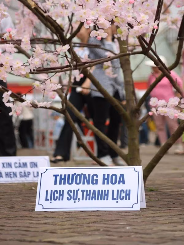Rút kinh nghiệm từ năm ngoái, năm nay có nhiều biển nhắc nhở khách đối xử lịch sự với hoa tại các gốc cây anh đào.