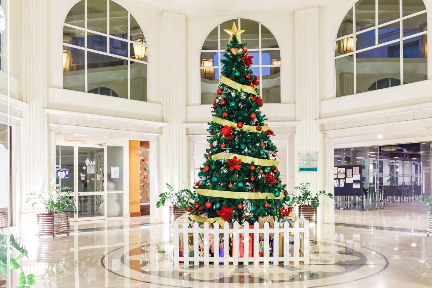 Cây thông trang trí trong tất cả các sảnh căn hộ tại Ciputra Hanoi Cây thông trang trí trong tất cả các sảnh căn hộ tại Ciputra Hanoi