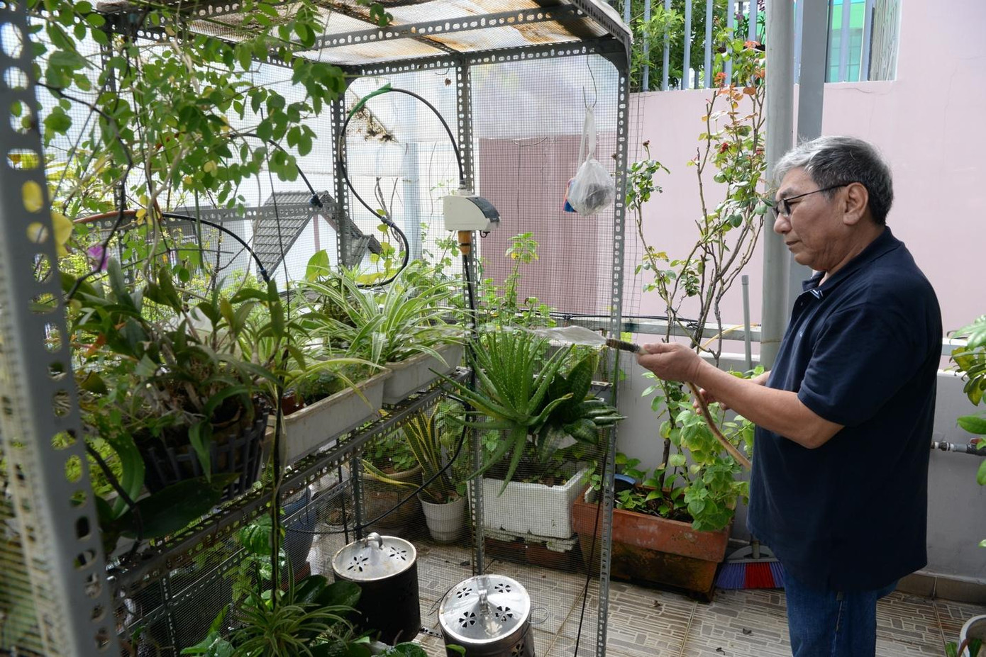 Buổi sáng bình yên của ông V.P