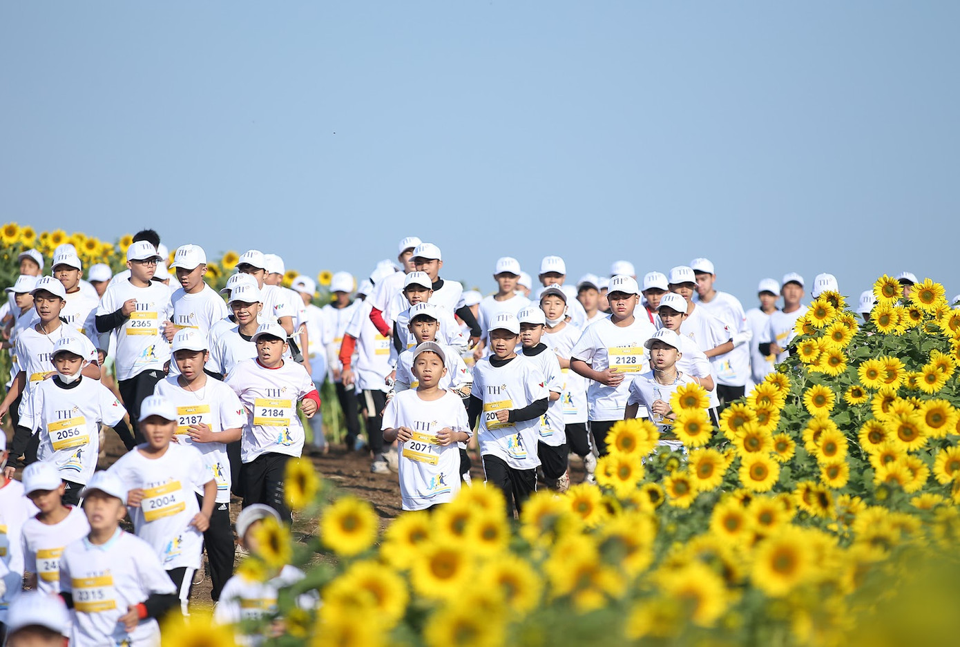 S-Race Nghệ An với thông điệp “Vì tầm vóc Việt”, tiếp tục lan tỏa niềm vui và sự tích cực mà chạy bộ đem đến cho các bạn trẻ