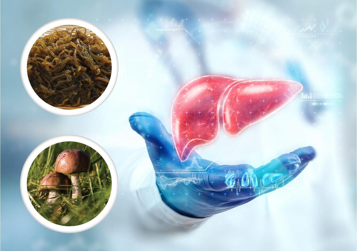 Fucoidan là một hợp chất poly-saccharide sulfate, có trong các loại rong nâu khác nhau, trong đó phổ biến là Fucus Fucoidan, Mozuku Fucoidan, Mekabu Fucoidan. Cũng từ đây, Thư viện Y Khoa Quốc gia Mỹ (PubMed) đăng tải hơn 1.400 nghiên cứu, báo cáo lợi ích sức khỏe của về Fucoidan và khả năng hỗ trợ điều trị ung thư ở 3 khía cạnh.