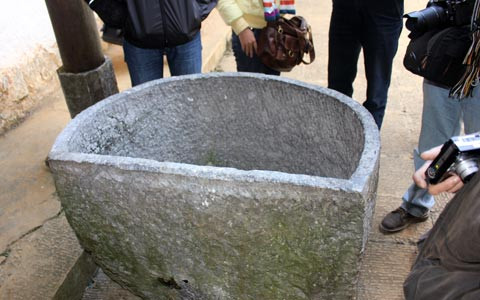 Nổi bật trong kiến trúc, điêu khắc trong ngôi dinh thự là ảnh hưởng nặng nề của thuốc phiện. Những vì kèo được khắc họa hình hoa anh túc. Một trong nhiều họa tiết khắc họa rõ hình hoa thuốc phiện - loài cây điển hình trong một thời kỳ ở vùng cao nguyên đá. Trong khu dinh thự họ Vương, các phiến đá kê cột nhà đều được tiện, gọt thành hình quả thuốc phiện. Sau khi mài nhẵn, chúng đều được dùng những đồng bạc trắng đánh cho bóng loáng, biến màu đá trắng thành màu đồng thau, gần như màu quả thuốc phiện đã phơi khô. Họa tiết trang trí trên đầu đao kèo nhà được tiện hình quả thuốc phiện. Kho thuốc phiện được Vua Mèo Vương Chính Đức cho xây dựng phía bên trái ngôi dinh thự dùng để cất trữ thuốc phiện - một biểu tượng quyền lực của quý tộc Mông. Phía trong căn hầm Vua Mèo dùng để chứa thuốc phiện. Chiếc bể tắm được đục đẽo công phu hình bán nguyệt từ đá nguyên khối mà tương tuyền vốn là bể tắm sữa dê cho bà vợ thứ nhất của vua Mèo. Vua Mèo Vương Chính Đức và đại gia đình quý tộc của ông.