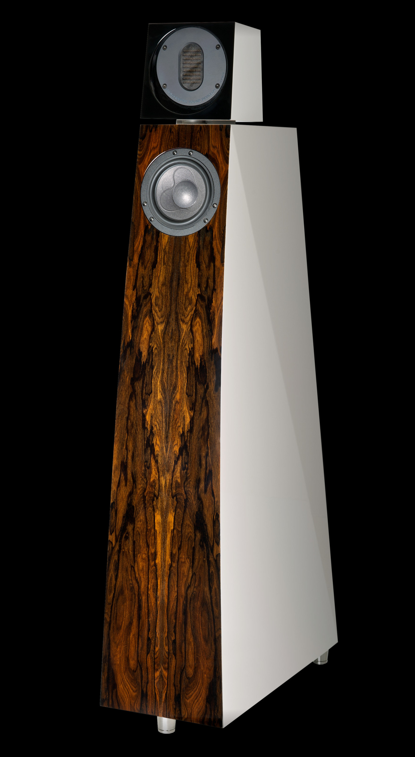 Loa Kaiser Vivace MKII V2 có giá hơn 1,6 tỉ đồng.