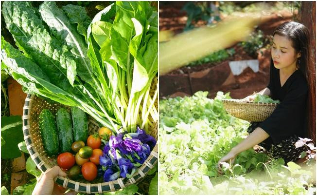 Hà My tự tay chăm sóc vườn rau trái xanh mướt thích mắt Hà My tự tay chăm sóc vườn rau trái xanh mướt thích mắt