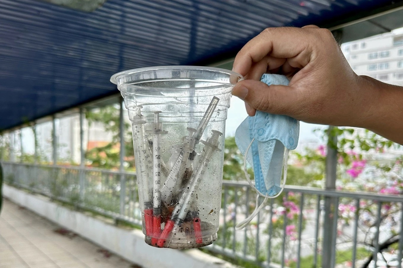 Ngày 26/5, sau phản ánh của báo Dân trí, lực lượng chức năng phường Hiệp Bình Chánh đã cử người thu gom (Ảnh: Công an cung cấp). Ngày 26/5, sau phản ánh của báo Dân trí, lực lượng chức năng phường Hiệp Bình Chánh đã cử người thu gom (Ảnh: Công an cung cấp).