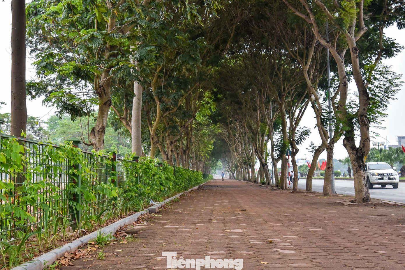 Hàng rào mới được lắp đặt xung quanh công viên.