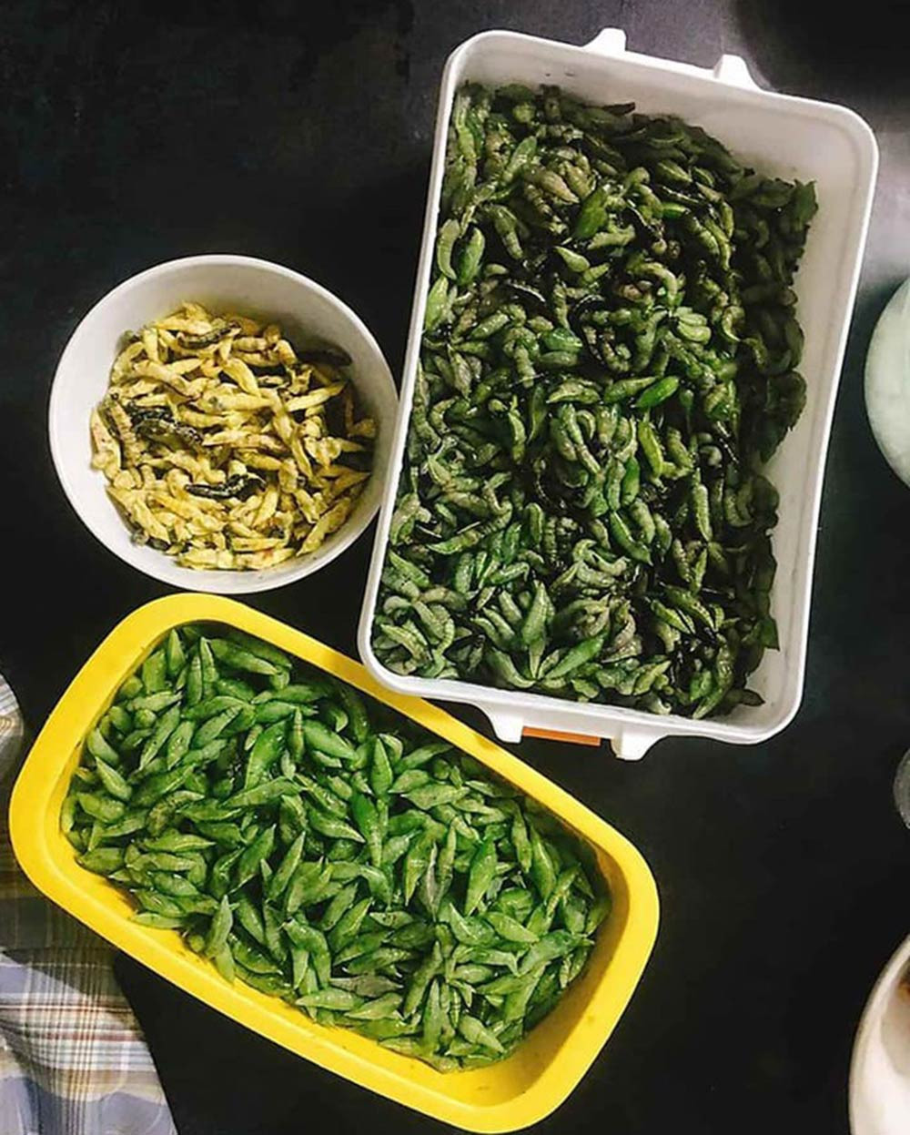 Nhộng sâu muồng sau khi đã được chế biến rất bắt mắt và thơm ngon (Ảnh: Dân Trí) Nhộng sâu muồng sau khi đã được chế biến rất bắt mắt và thơm ngon (Ảnh: Dân Trí)