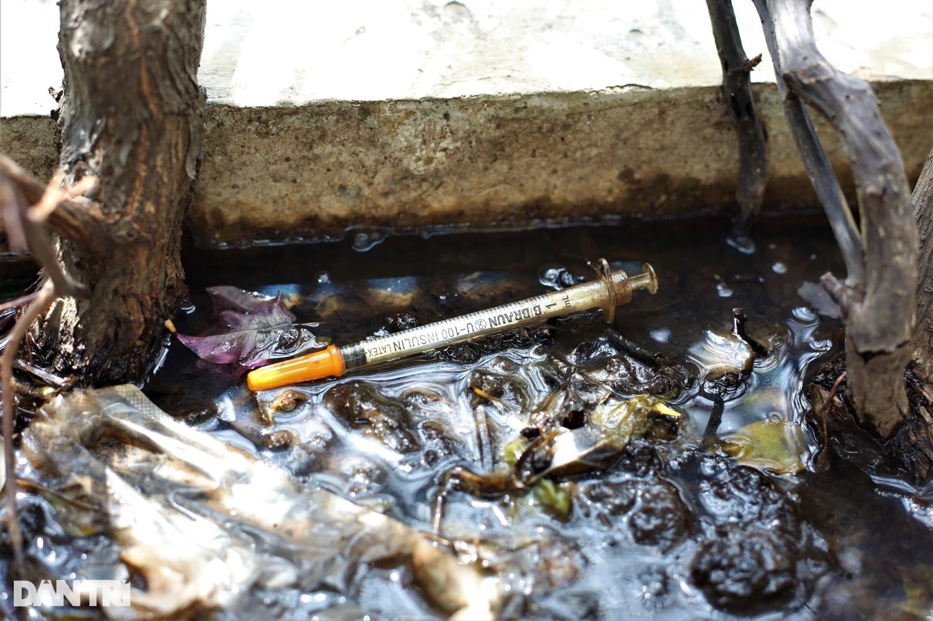 Cảnh nhếch nhác kim tiêm, rác thải trong các bồn cây trên cầu bộ hành số 3 (Ảnh: Hoàng Hướng). Cảnh nhếch nhác kim tiêm, rác thải trong các bồn cây trên cầu bộ hành số 3 (Ảnh: Hoàng Hướng).