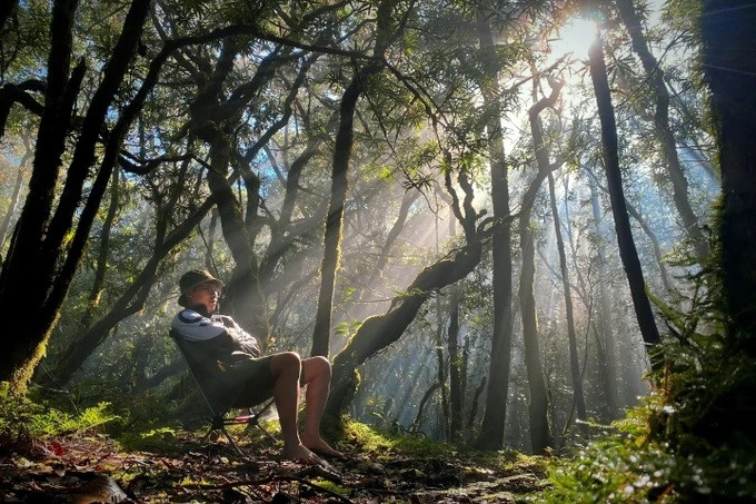 Anh tự thưởng cho mình những giây phút ngồi im dưới nắng. Kiên gọi đây là "tắm rừng", theo thuật ngữ Shinrin-yoku của người Nhật, nghĩa là vào rừng để phục hồi tâm hồn và sức khỏe.