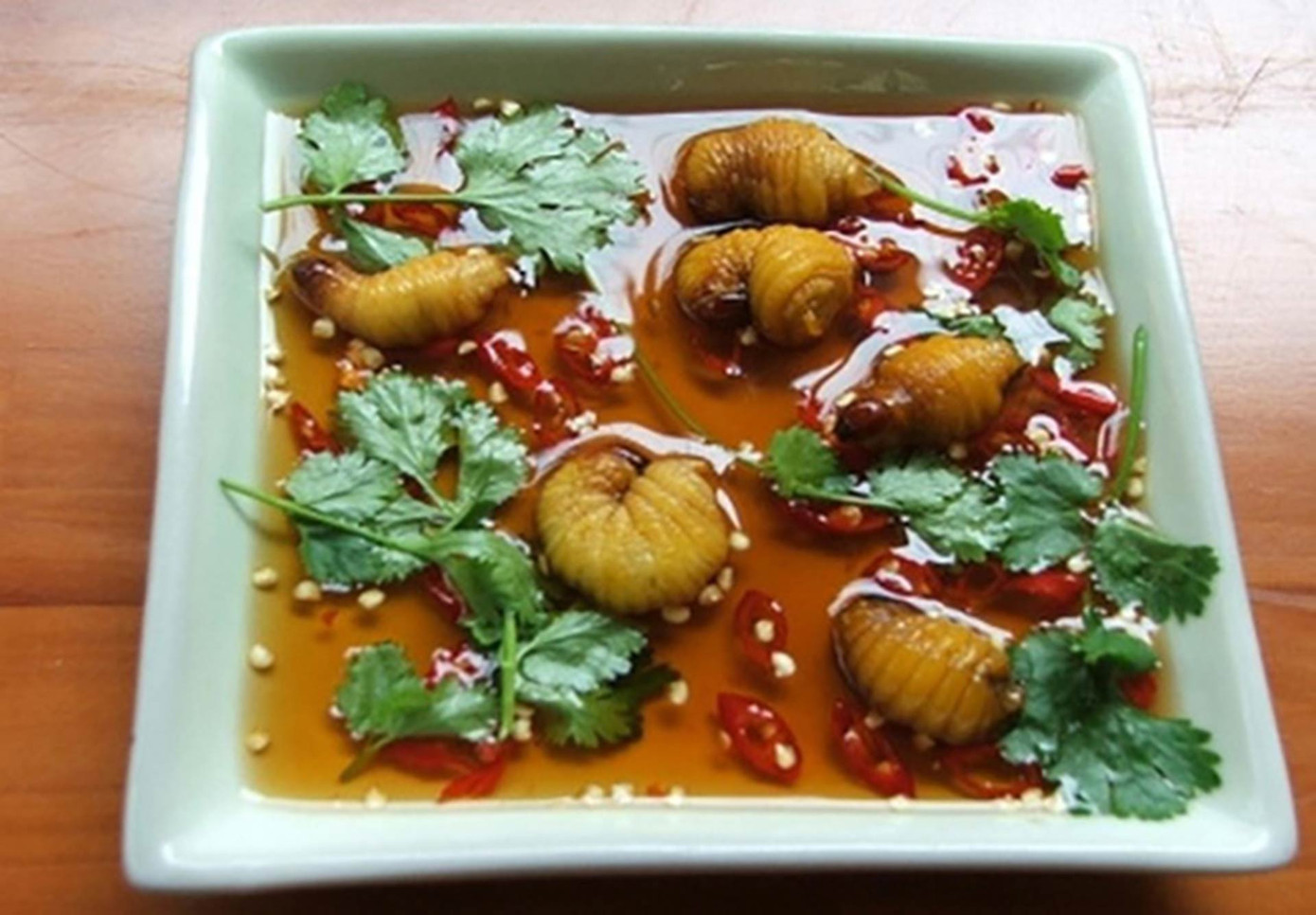 Đuông chà là khá giống với đuông dừa nhưng kích thước lớn hơn (Ảnh: Arttimes) Đuông chà là khá giống với đuông dừa nhưng kích thước lớn hơn (Ảnh: Arttimes)