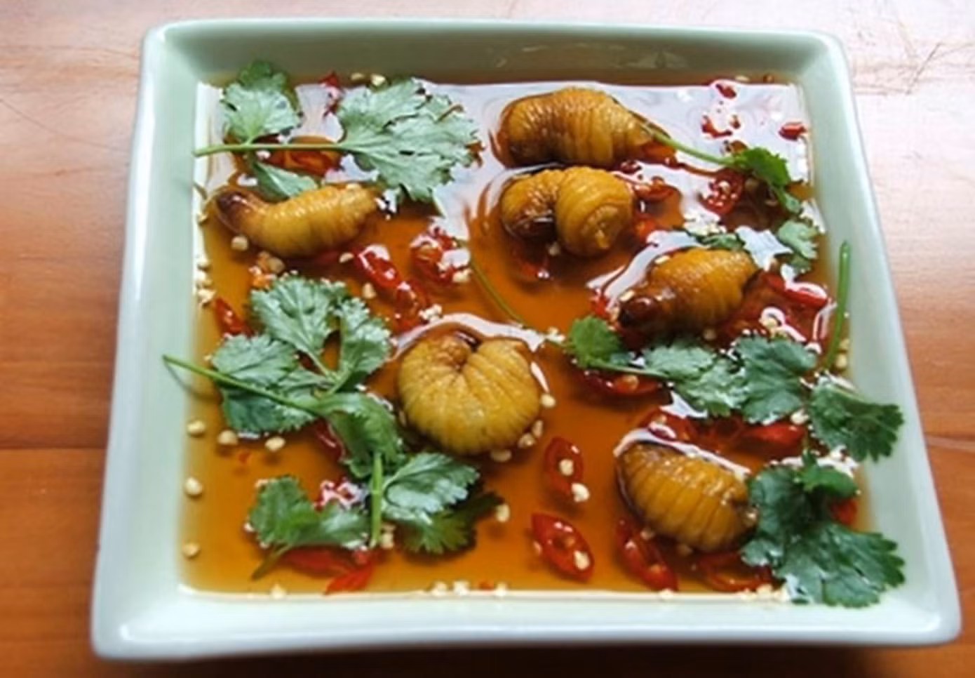 Đuông chà là khá giống với đuông dừa nhưng kích thước lớn hơn (Ảnh: Arttimes)