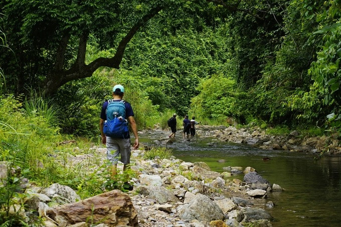 "Tôi tin nơi đây hoàn toàn có thể trở thành điểm du lịch hấp dẫn ở miền Trung. Nhưng việc khai thác du lịch cần gắn liền với bảo vệ rừng vẫn là vấn đề chúng tôi băn khoăn nhất. Do vậy hoạt động thu hút khách và phát triển các sản phẩm du lịch vẫn đang phải thực hiện từng bước", anh PLênh, cán bộ phòng Văn hóa huyện Tây Giang cho biết.