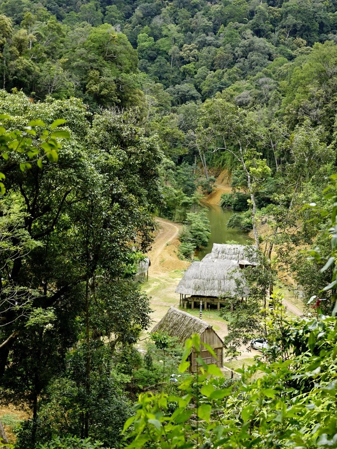 Giữa rừng có một thung lũng nhỏ là nơi sinh sống của vài hộ dân Cơ Tu.
