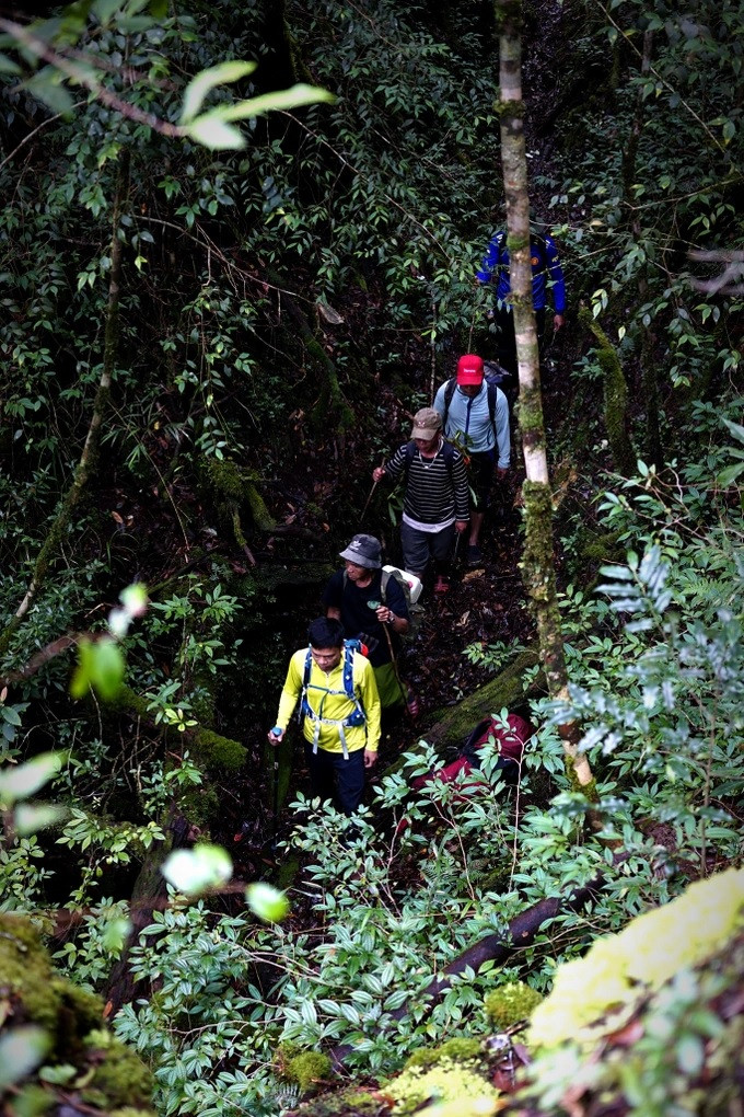 Hệ sinh thái trong rừng còn nguyên vẹn vì chưa chịu nhiều sự tác động của con người. Đồng bào Cơ Tu ở đây sống dựa vào rừng nhưng chỉ lấy từ rừng những thứ họ cần và vừa đủ cho cuộc sống hằng ngày.