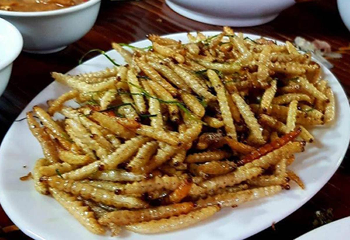 Sâu chít thường dùng để ngâm rượu hoặc chế biến thành các món ăn (Ảnh: Báo Lào Cai) Sâu chít thường dùng để ngâm rượu hoặc chế biến thành các món ăn (Ảnh: Báo Lào Cai)