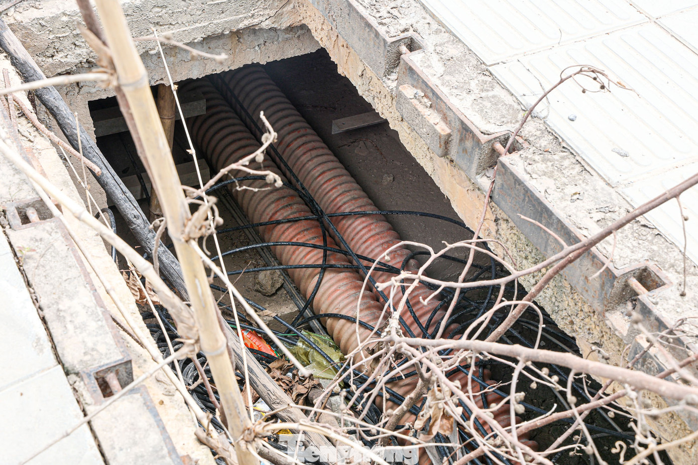 Hố ga không được che chắn nên tràn ngập rác thải.