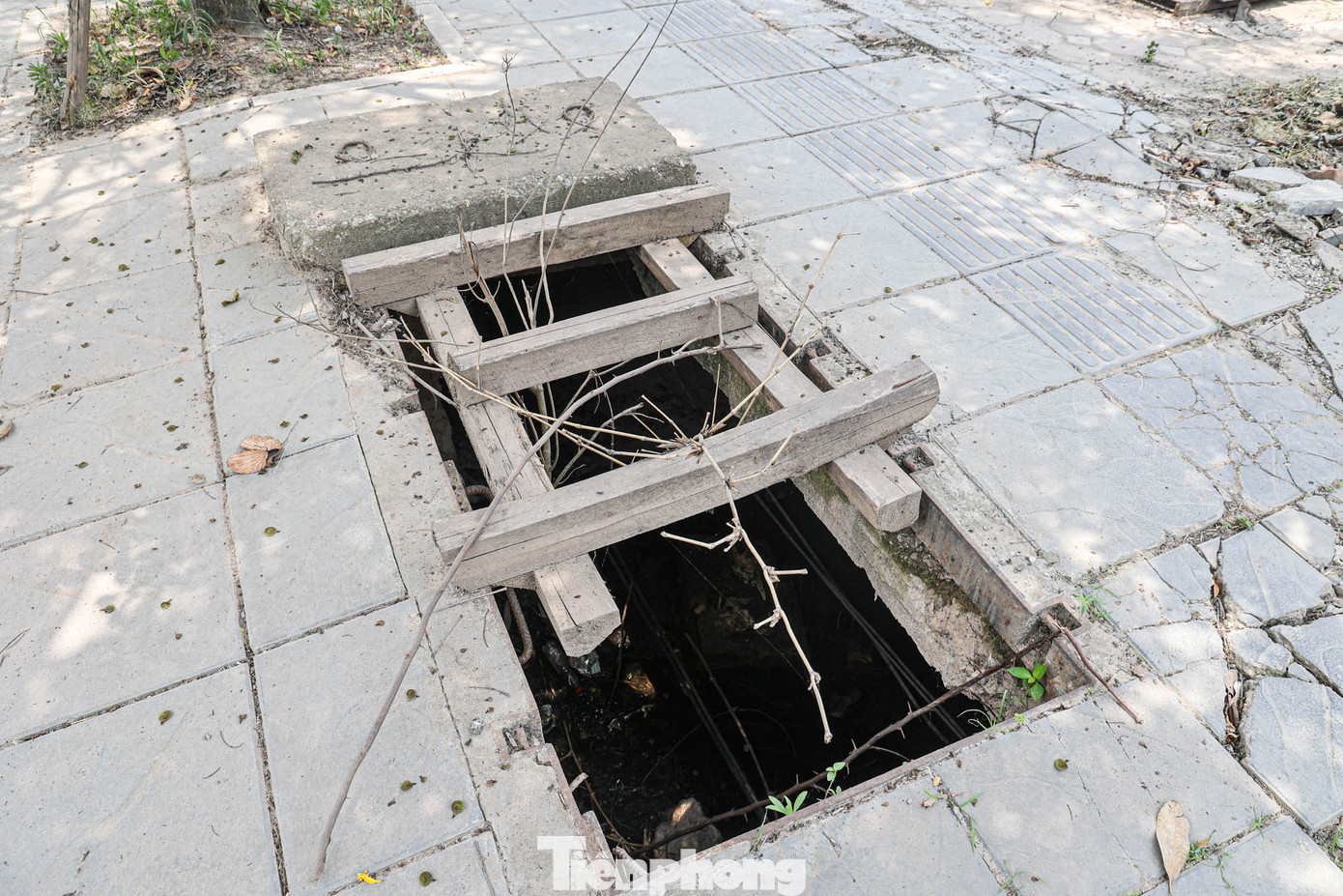 Người dân đặt tạm gỗ để che chắn.