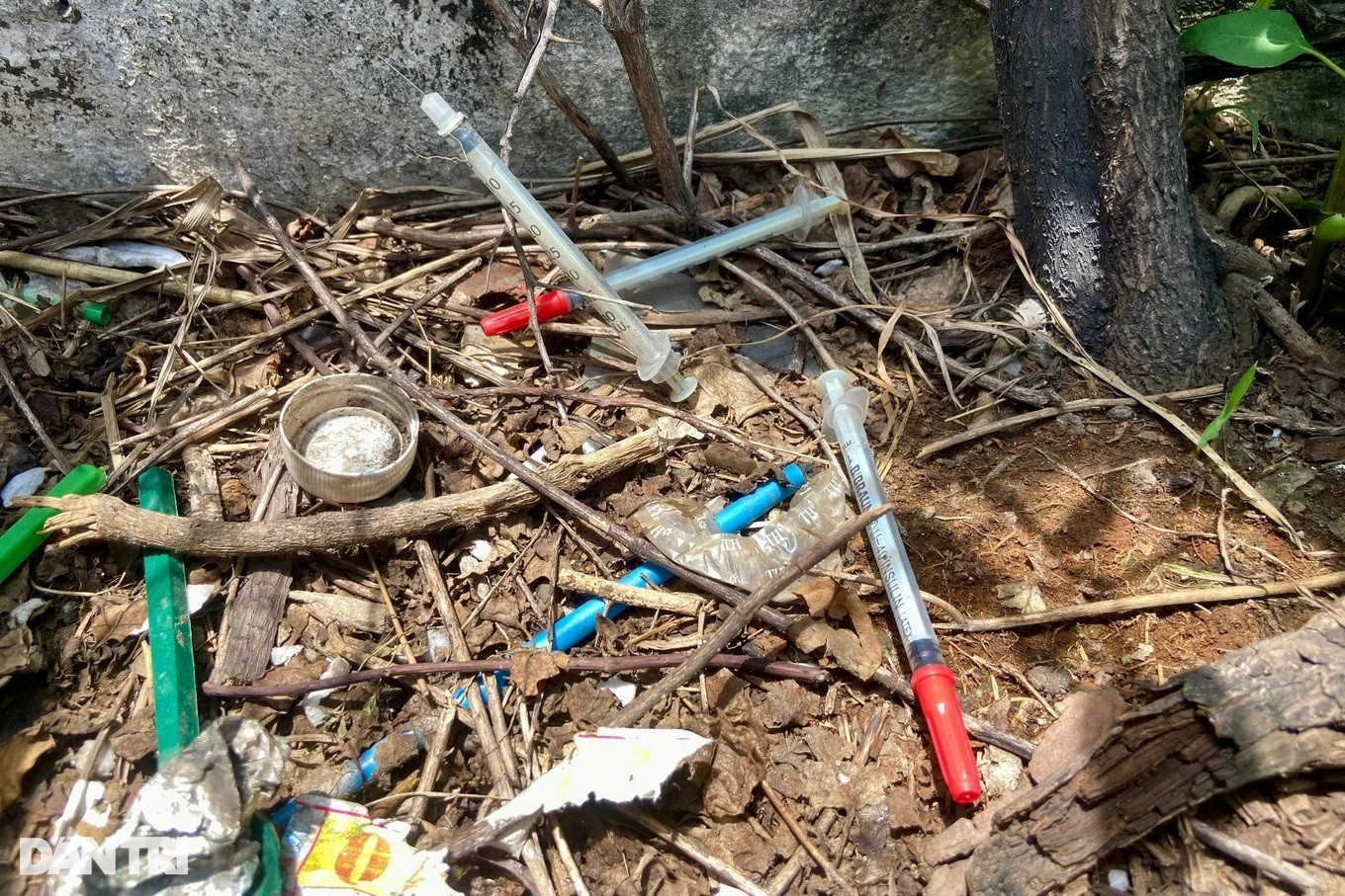 Kim tiêm vương vãi trong bồn cây trên cầu bộ hành (Ảnh: Hoàng Hướng). Kim tiêm vương vãi trong bồn cây trên cầu bộ hành (Ảnh: Hoàng Hướng).