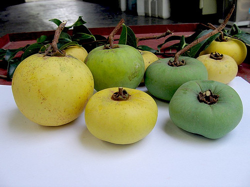 Ảnh: minh họa - Internet Ảnh: minh họa - Internet