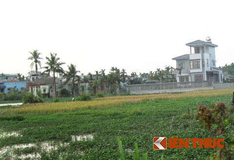 Một góc làng Nhân Trai (xã Đại Hà, Kiến Thụy, Hải Phòng)