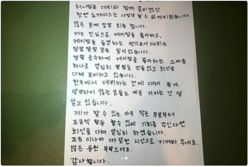 17.000 chữ kí gửi tổng thống Hàn phản đối nhóm nhạc từng đóng phim 18+ ảnh 2