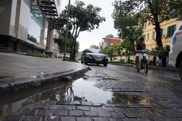 Thành những hố chứa nước