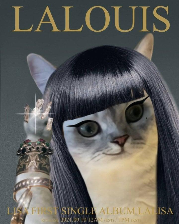Fan còn hài hước phục chế lại chiếc poster LALISA thành LALOUIS - tên 1 trong 5 bé mèo của Lisa. - Nguồn:@thelouis_th Fan còn hài hước phục chế lại chiếc poster LALISA thành LALOUIS - tên 1 trong 5 bé mèo của Lisa. - Nguồn:@thelouis_th