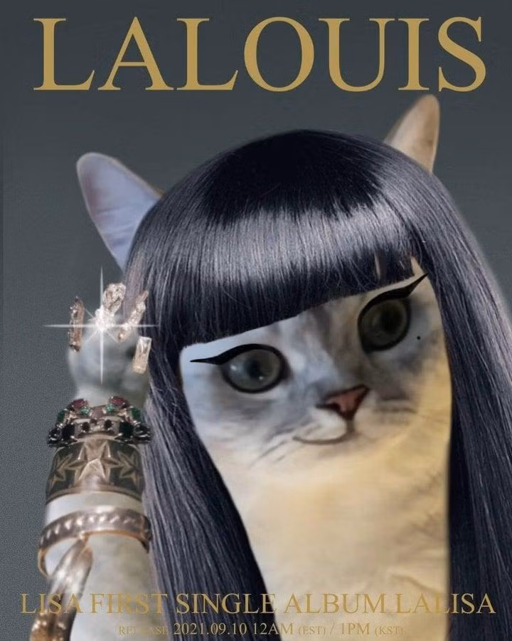 Fan còn hài hước phục chế lại chiếc poster LALISA thành LALOUIS - tên 1 trong 5 bé mèo của Lisa. - Nguồn:@thelouis_th