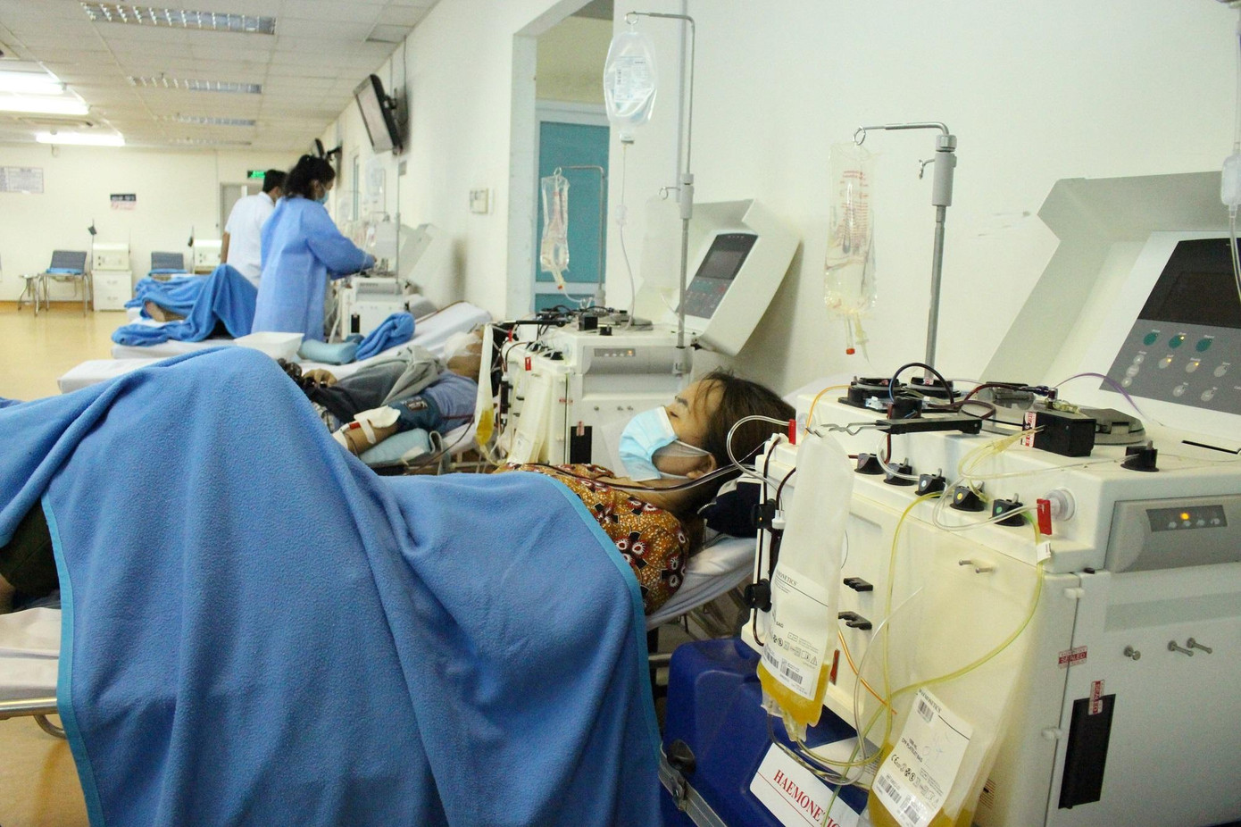 Những con người dũng cảm đang âm thầm chia sẻ sự sống của mình với người bệnh.