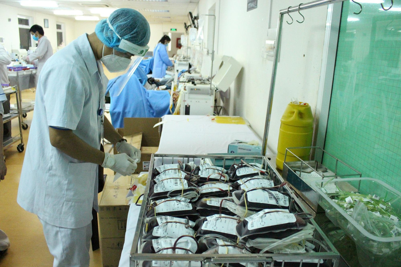 Lượng máu tiếp nhận được tại Bệnh viện Chợ Rẫy những ngày qua vẫn chưa đủ để phân phối cho nhu cầu chữa bệnh tại các tỉnh thành nói chung và TPHCM nói riêng.