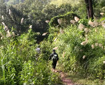 Với cảnh sát điều tra vùng cao, những chuyến đi rừng là nhiệm vụ bắt buộc. Với cảnh sát điều tra vùng cao, những chuyến đi rừng là nhiệm vụ bắt buộc