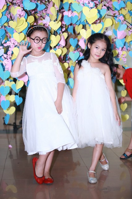 Kỷ lục “Cây có nhiều lời nhắn gửi yêu thương nhất Việt Nam“ ảnh 3