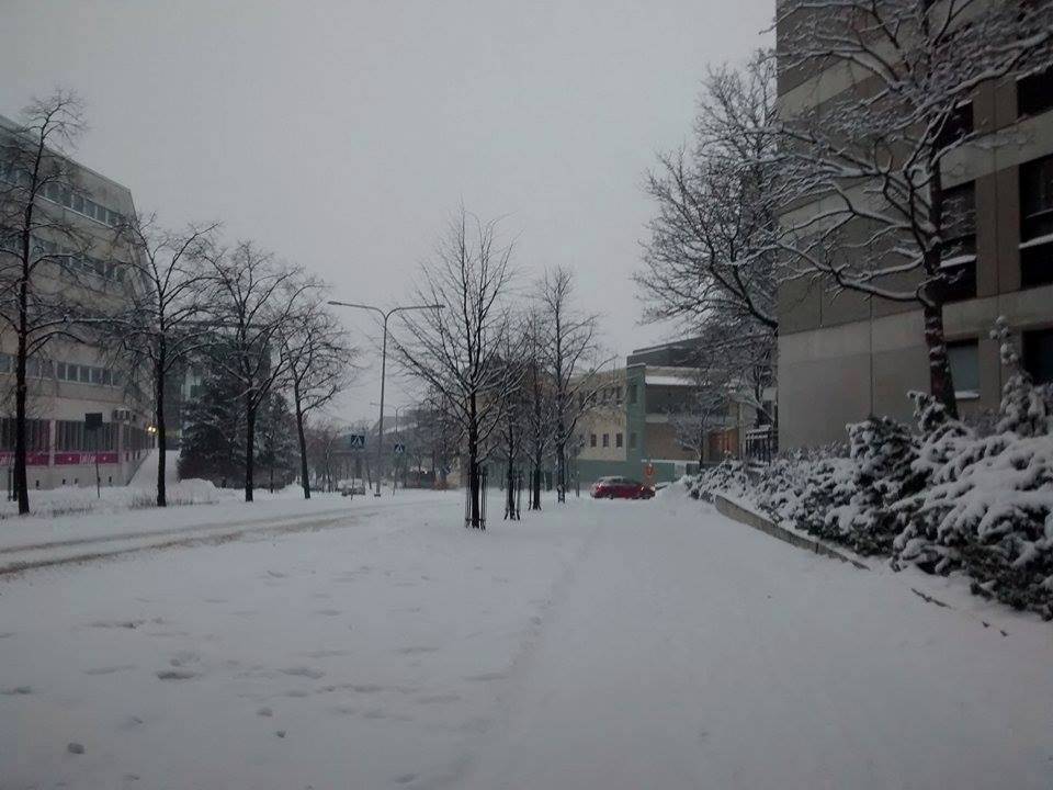 TƯỜNG THUẬT: Giới trẻ tưng bừng đón Giáng sinh ảnh 97