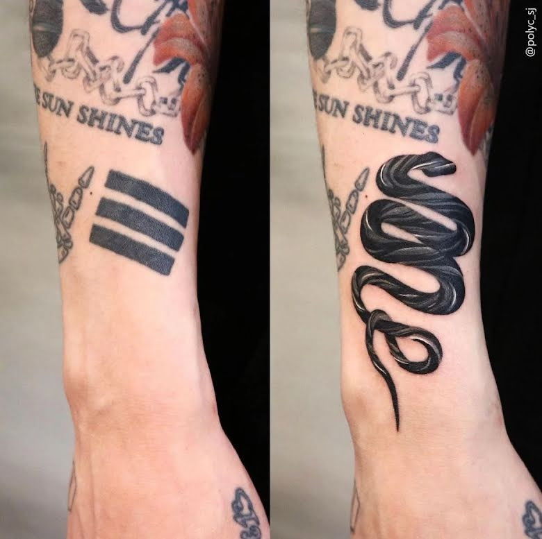 Con rắn che đi biểu tượng của thiên đường trong văn hóa Hàn Quốc. Con rắn che đi biểu tượng của thiên đường trong văn hóa Hàn Quốc.