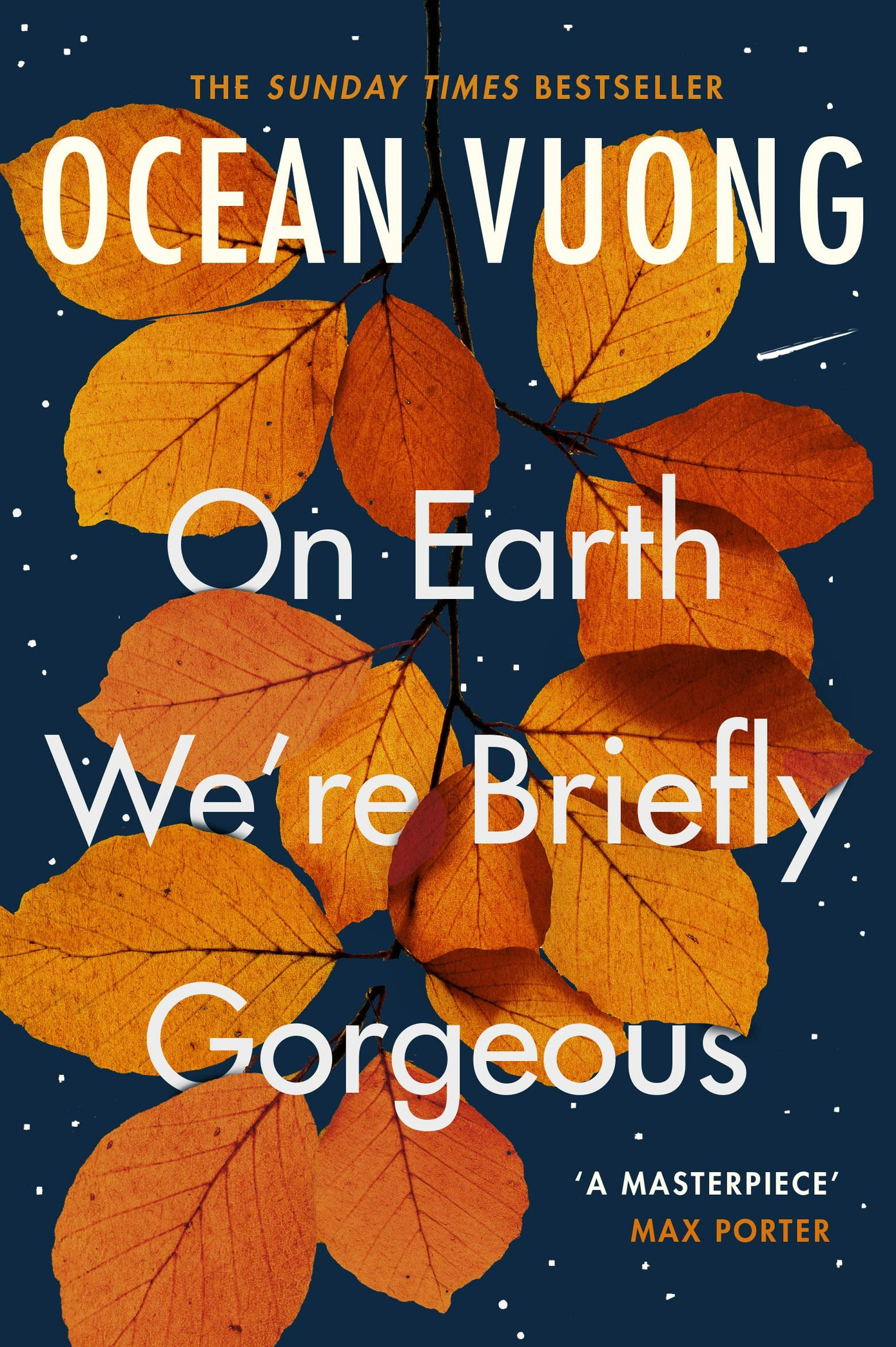 On Earth We’re Briefly Gorgeous là tiểu thuyết ăn khách ở Mỹ, Việt Nam và nhiều quốc gia khác. Ảnh: Amazon.