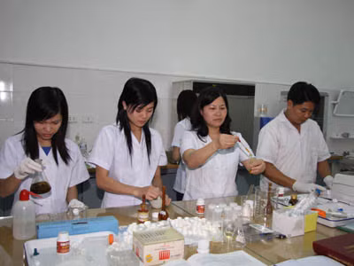 Dược sĩ Lê Thị Bình (thứ hai từ phải sang) cùng cộng sự nghiên cứu tiêu chuẩn bài thuốc. Dược sĩ Lê Thị Bình (giữa) cùng cộng sự nghiên cứu tiêu chuẩn bài thuốc